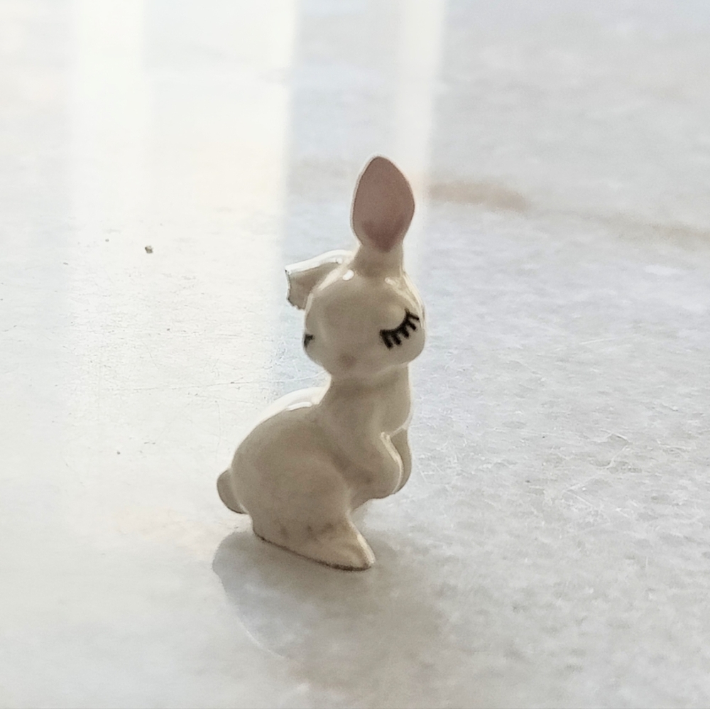 Miniature bunny